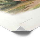 Rabbit Illustration Poster (Hoek)