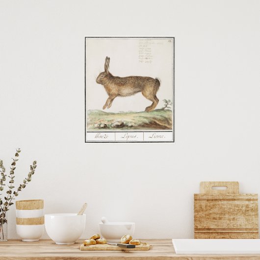 Rabbit Illustration Poster (Keuken)