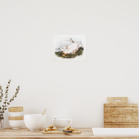 Rabbit Illustration Poster (Keuken)