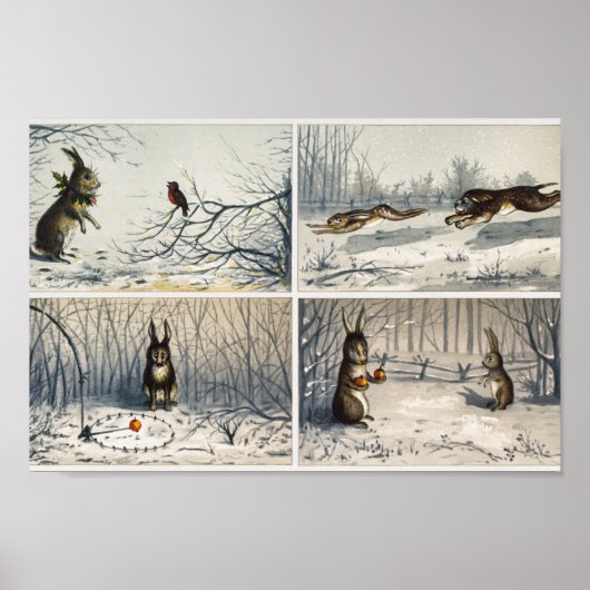 Rabbit Illustration Poster (Voorkant)