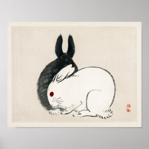 Rabbit Illustration Poster