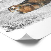Rabbit Illustration Poster (Hoek)