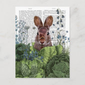 Rabbit in a Cabbage Patch Briefkaart (Voorkant)
