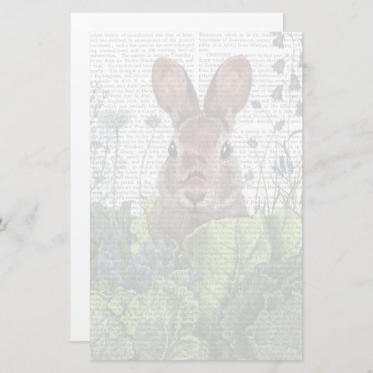 Rabbit in a Cabbage Patch Briefpapier (Voorkant / Achterkant)