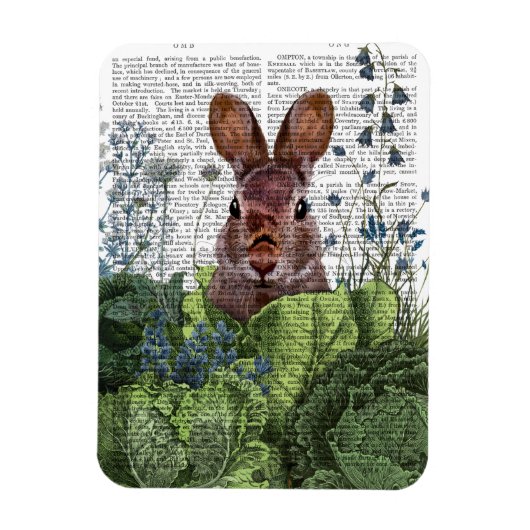 Rabbit in a Cabbage Patch Magneet (Verticaal)
