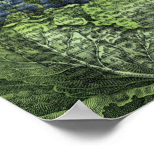 Rabbit in a Cabbage Patch Poster (Hoek)