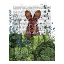 Rabbit in a Cabbage Patch