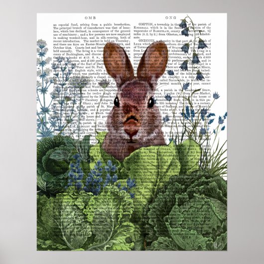 Rabbit in a Cabbage Patch Poster (Voorkant)