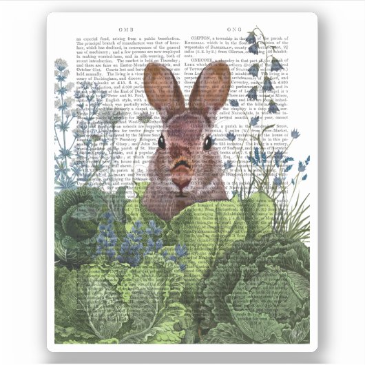 Rabbit in a Cabbage Patch Sticker (Voorkant)