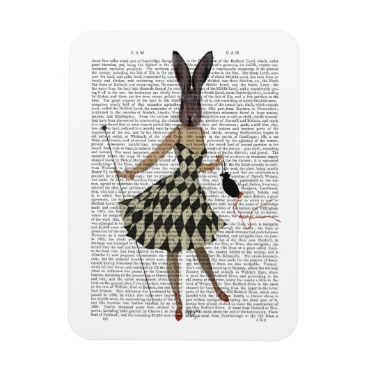 Rabbit in Black White Dress Magneet (Verticaal)