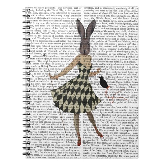 Rabbit in Black White Dress Notitieboek (Voorkant)