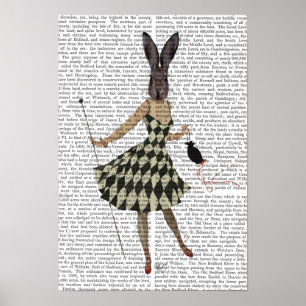 Rabbit in Black White Dress Poster