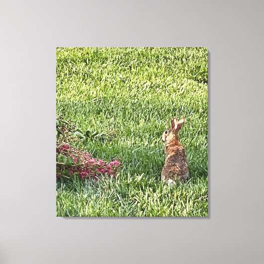 Rabbit in the Grass - Vreedzame Natuur Fotografie Canvas Afdruk (Voorkant)