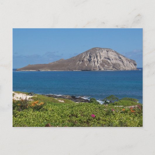 Rabbit Island Oahu Hawaii Briefkaart (Voorkant)