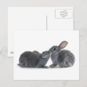 Rabbit Kiss Briefkaart (Voorkant / Achterkant)