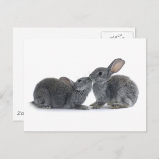 Rabbit Kiss Briefkaart (Voorkant / Achterkant)