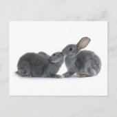 Rabbit Kiss Briefkaart (Voorkant)