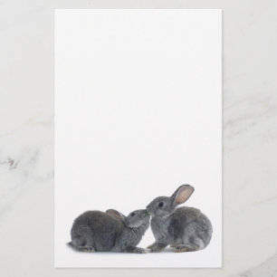 Rabbit Kiss Briefpapier