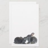 Rabbit Kiss Briefpapier (Voorkant / Achterkant)