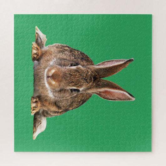 RABBIT LEGPUZZEL (Horizontaal)
