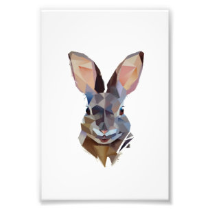 Rabbit Lovers   Art Drawing Bunny Gift Foto Afdruk