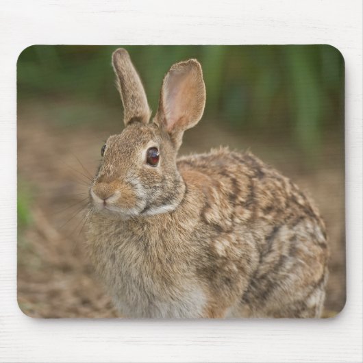 Rabbit mousepad muismat (Voorkant)