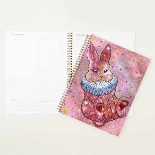 Rabbit named Ladybug Planner (Display)