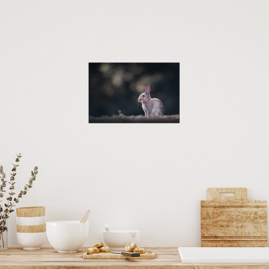 Rabbit Nature Foto Poster (Keuken)
