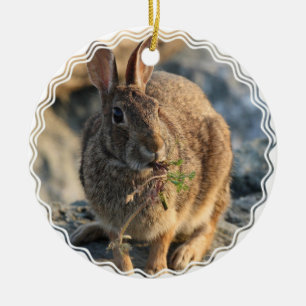 Rabbit Ornament