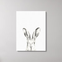 Rabbit Pencil Tekening