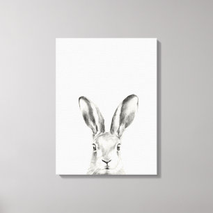 Rabbit Pencil Tekening Canvas Afdruk