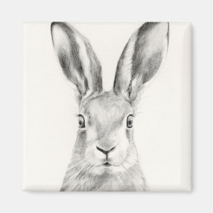 Rabbit Pencil Tekening Magneet