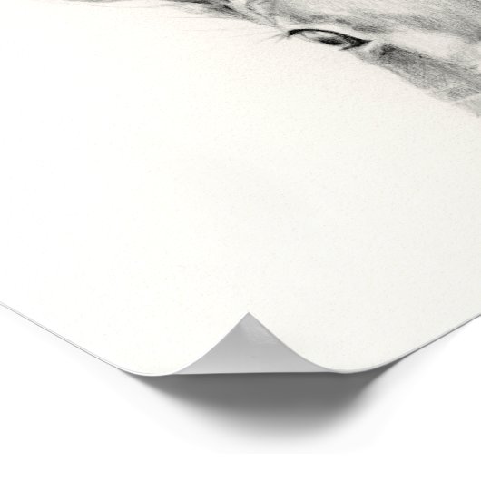 Rabbit Pencil Tekening Poster (Hoek)