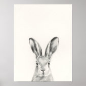 Rabbit Pencil Tekening Poster (Voorkant)