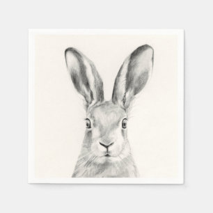 Rabbit Pencil Tekening Servet