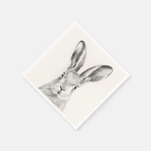 Rabbit Pencil Tekening Servet (Hoek)