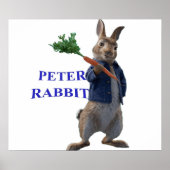 Rabbit Peter Poster (Voorkant)