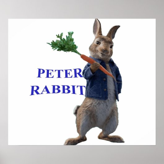 Rabbit Peter Poster (Voorkant)