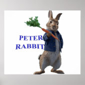 Rabbit Peter Poster (Voorkant)