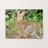 Rabbit Photo Legpuzzel (Horizontaal)