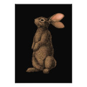 Rabbit Photo Print Foto Afdruk (Voorkant)