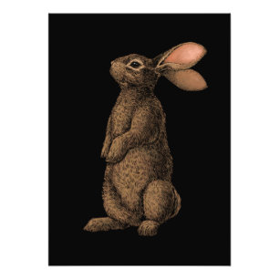 Rabbit Photo Print Foto Afdruk