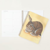 Rabbit Planner (Display)