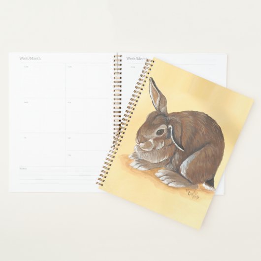 Rabbit Planner (Display)