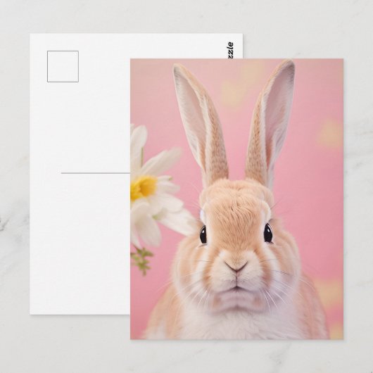 Rabbit Portrait 088 Briefkaart (Voorkant / Achterkant)