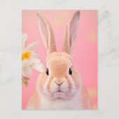 Rabbit Portrait 088 Briefkaart (Voorkant)