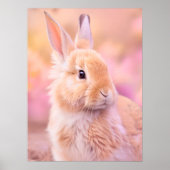Rabbit Portrait 091 Poster (Voorkant)