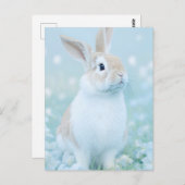 Rabbit Portrait 095 Briefkaart (Voorkant / Achterkant)