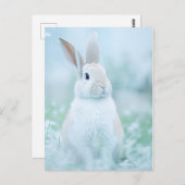 Rabbit Portrait 096 Briefkaart (Voorkant / Achterkant)