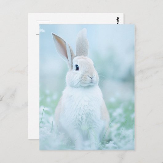 Rabbit Portrait 096 Briefkaart (Voorkant / Achterkant)